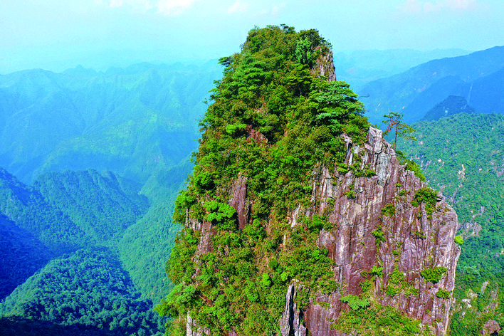     “绿色明珠”莽山，动植物资源丰富。