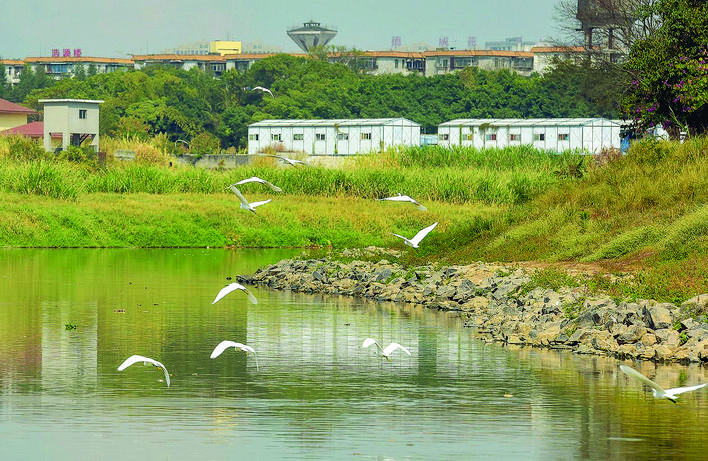     淡水河污染防治已取得全面胜利，水质从劣Ⅴ直接跃升至Ⅲ类标准。