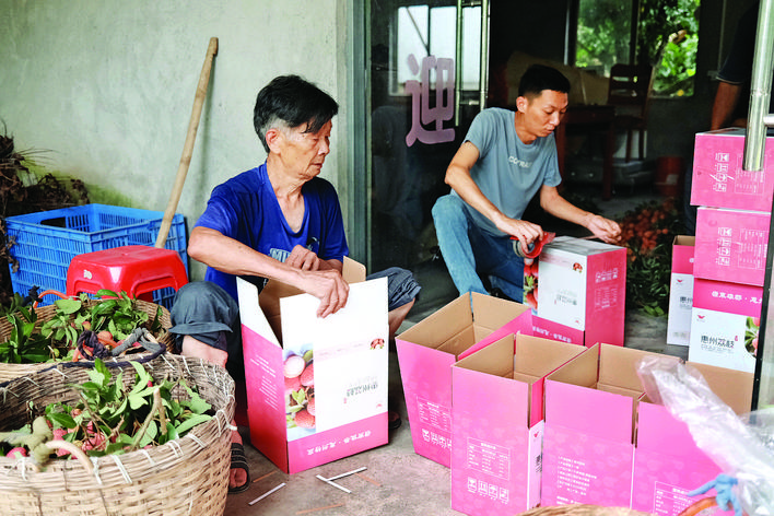     农户打包分装荔枝。   惠州日报记者洪鹊儿 摄