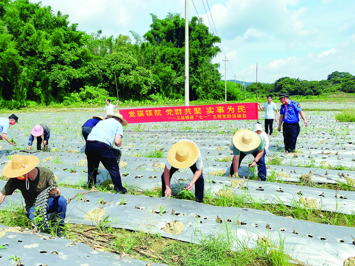     三栋镇党员干部在党群活动日整治撂荒地。