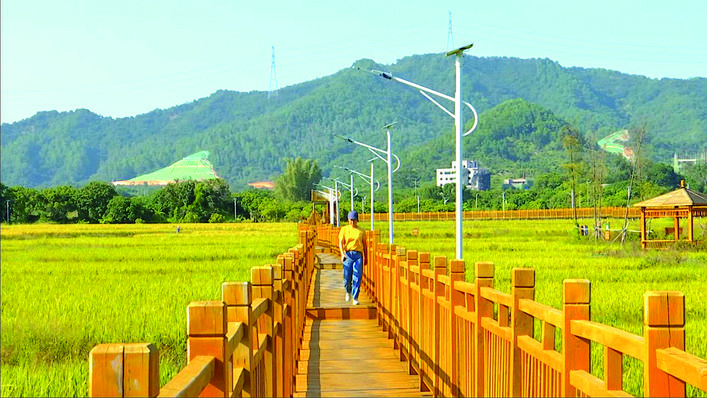     游客走在栈道上欣赏田园风光。