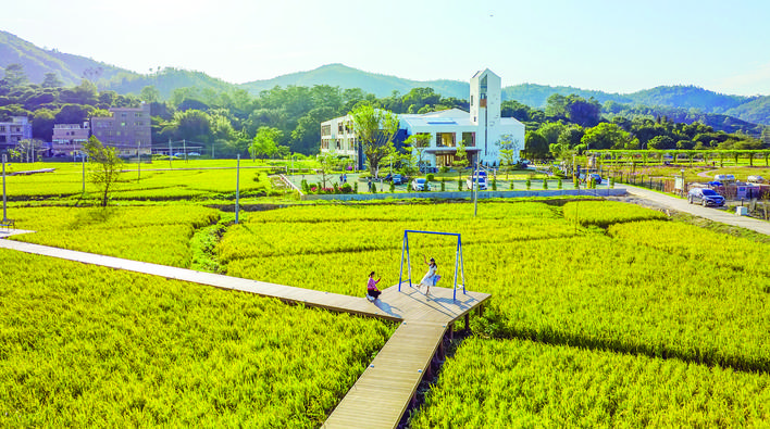     游客在佳禾阳光田园综合体项目内的百亩生态稻田栈道上游玩。