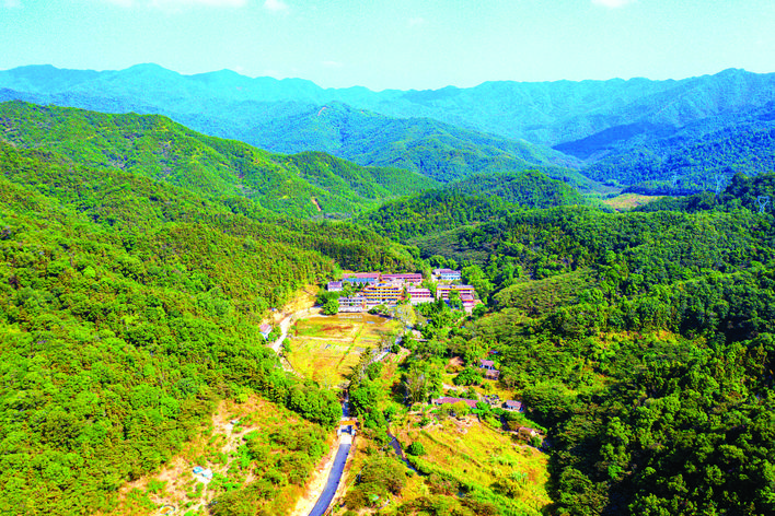     市国有油田林场筑起绿色生态屏障。 惠州日报记者周楠 摄
