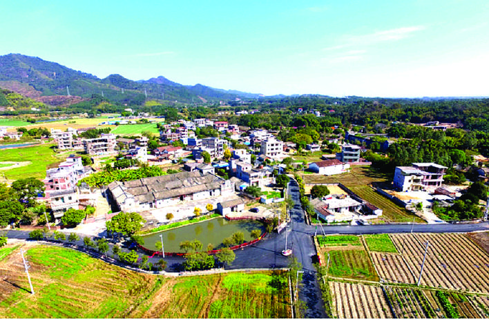     杨村镇井水龙村