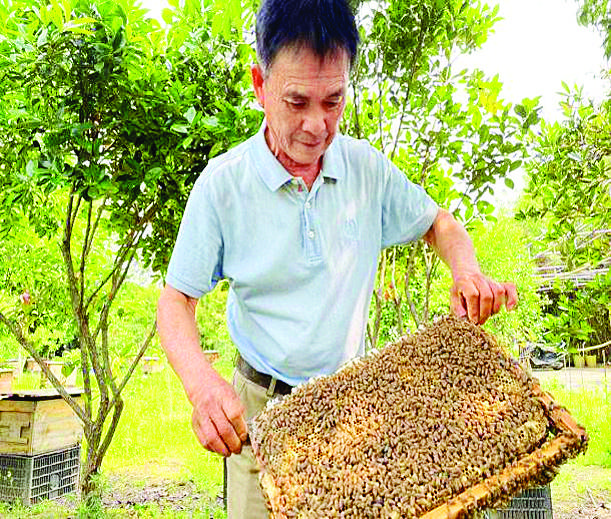     养蜂达人为大家进行技术培训指导。    惠州日报记者蓝斐菲 特约通讯员杨款兆 摄