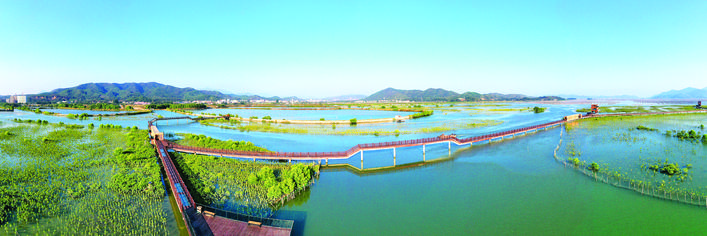     惠东好招楼湿地公园风景优美。  惠州日报记者蔡伟健 通讯员宋继进 摄