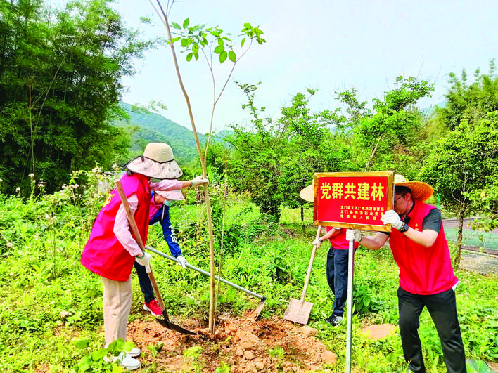     志愿者在道路两旁种下一棵棵树苗。 惠州日报记者黄宇翔 通讯员龙旅宣 摄