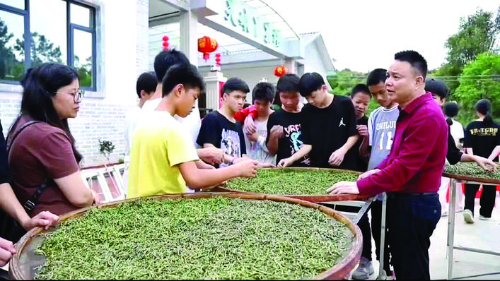     师生参观炒茶晒茶。  惠州日报记者赖金朗 特约通讯员李文聪 通讯员蓝文超 郭锦威 摄