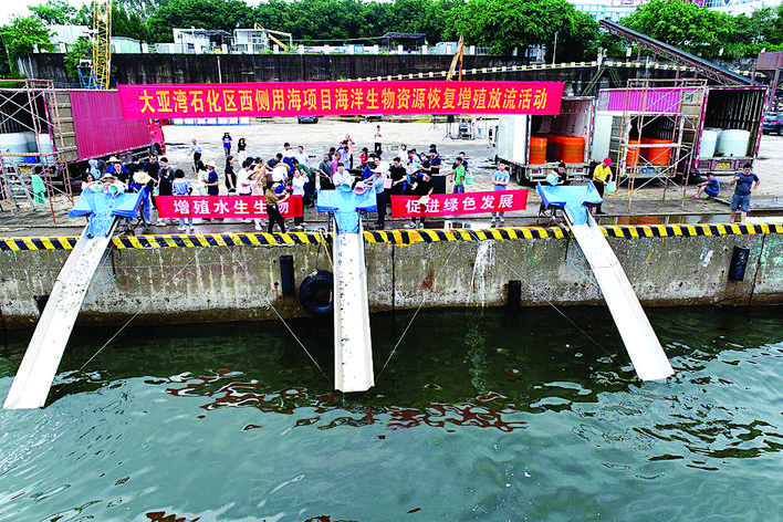     增殖放流活动在中海码头附近海域举行。                 惠州日报记者匡湘鄂 通讯员刘晓红 摄