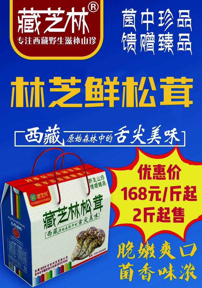     林芝新鲜松茸优惠价168元/斤起。