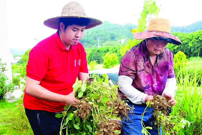     由青年大学生组成的“百千万工程”突击队，将专业知识和青春创意带进博罗田间地头。