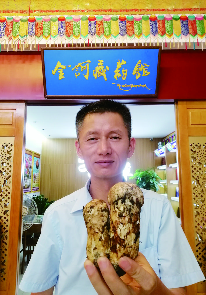     金诃藏药馆店长展示2朵林芝精品松茸童菇。