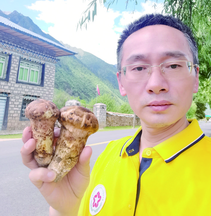     金诃藏药馆总经理祝桂辉在巴松措收购新鲜松茸。