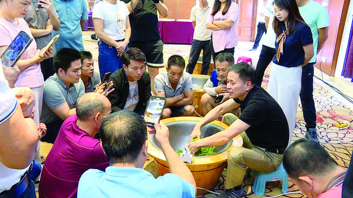     学员们学习炒茶。    惠州日报记者蔡伟健 特约通讯员李文聪 通讯员刘晓林 摄