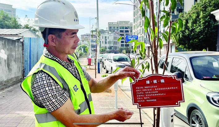     工作人员给树苗挂上信息牌。惠州日报记者洪鹊儿 实习生曾小幸 摄