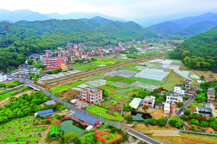     博罗柏塘石岗村以绿美乡村建设为抓手推动高质量发展。惠州日报记者哈鹏 罗剑业 摄