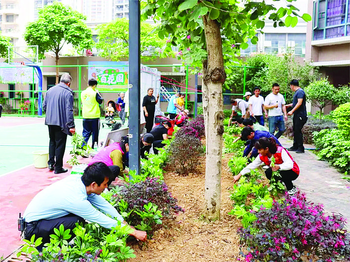     居民们一起打理自己认领的绿地。惠州日报记者黄旭新 摄