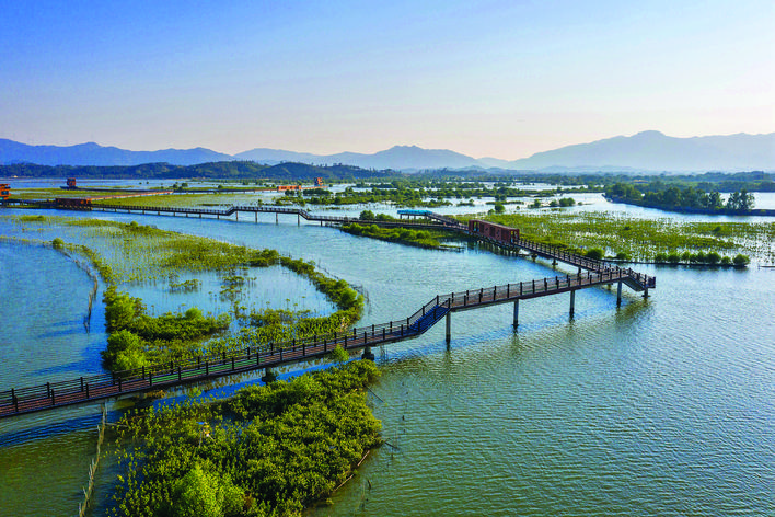     好招楼湿地公园是我市全力推进红树林保护的一个成功范例。惠州东江图片社供图