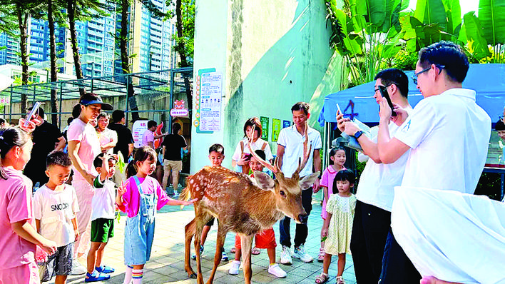     9月1日，大亚湾京师实验学校组织学生照顾的鸵鸟、梅花鹿、小马、孔雀等萌宠迎接学生们的到来。大亚湾京师实验学校供图