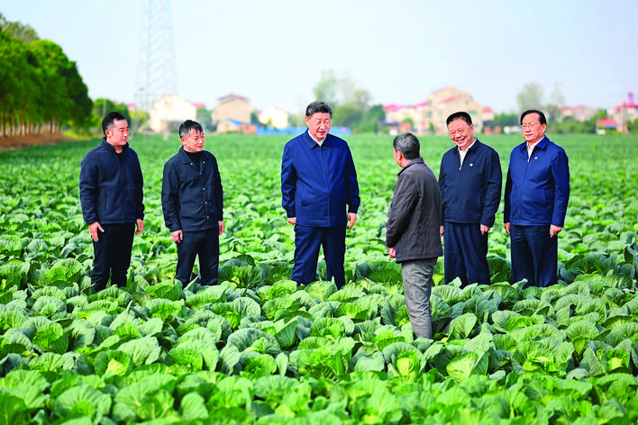     11月4日至6日，中共中央总书记、国家主席、中央军委主席习近平在湖北考察。这是5日上午，习近平在咸宁市嘉鱼县潘家湾镇十里蔬菜长廊考察时，同菜农亲切交流。新华社发