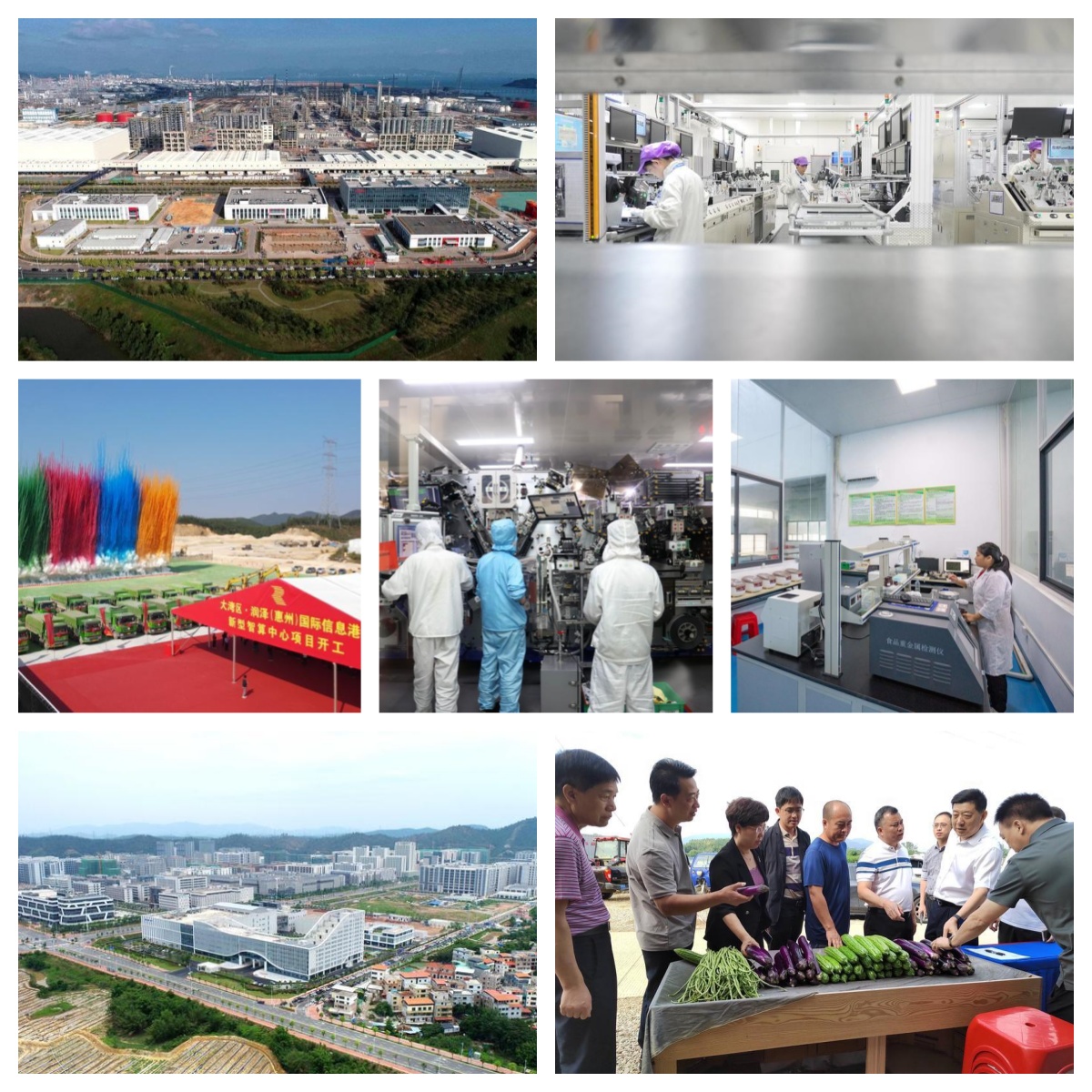 <p>    上排左：埃克森美孚惠州乙烯一期项目乙烯装置进入调试阶段。    上排右：德赛电池科技股份有限公司自动化生产车间。    中排左：大湾区·润泽（惠州）国际信息港新型智算中心项目。    中排中：赣锋锂电科技公司自动化生产车间。    中排右：龙门县丝苗米省级现代农业产业园内工作人员对大米进行检测。    下排左：中韩（惠州）产业园一角。    下排右：泰美镇车村村供销农场的新鲜食材吸引不少人前来选购。    惠州东江图片社供图</p>