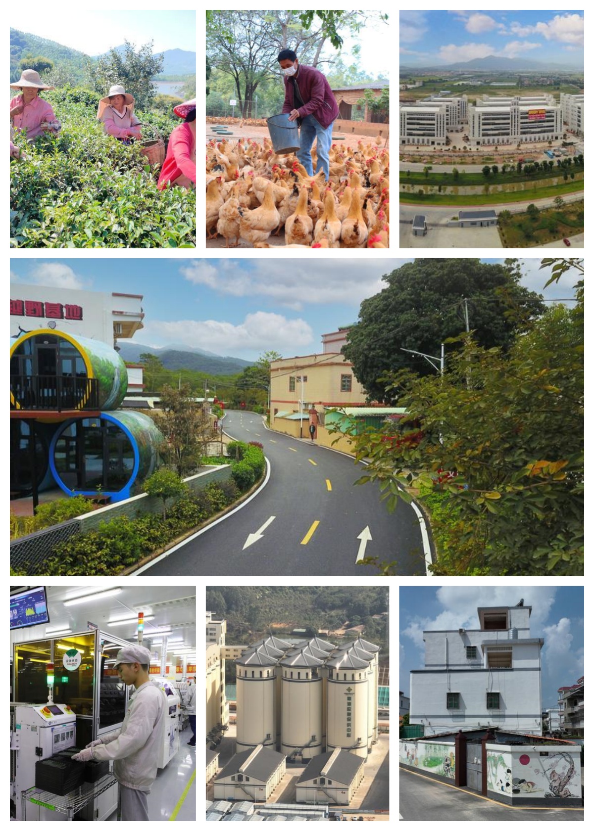 <p>    中：改造后的村道美观又安全。    上排左：乡村特色产业兴了企业富了村民。这是村民在采茶。    上排中：林下养鸡助力村民增收致富。    上排右：博罗智能装备产业园。    下排左：欣旺达惠州新能源有限公司智能化生产车间。    下排中：粤港澳大湾区（广东·惠州）绿色农产品生产供应基地。        下排右：特色墙绘让乡村颜值再提升。</p>