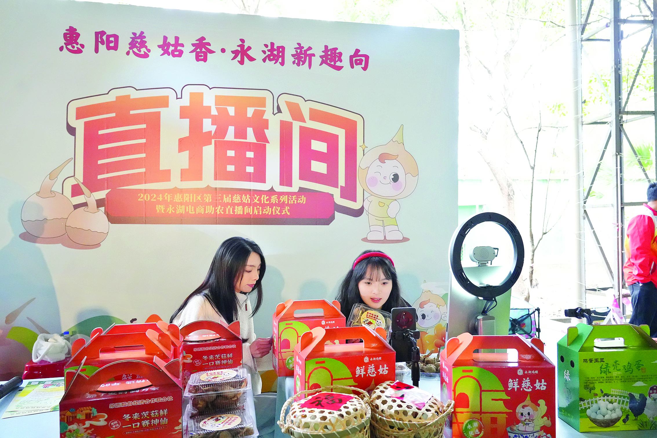     惠阳区第三届慈姑文化系列活动。