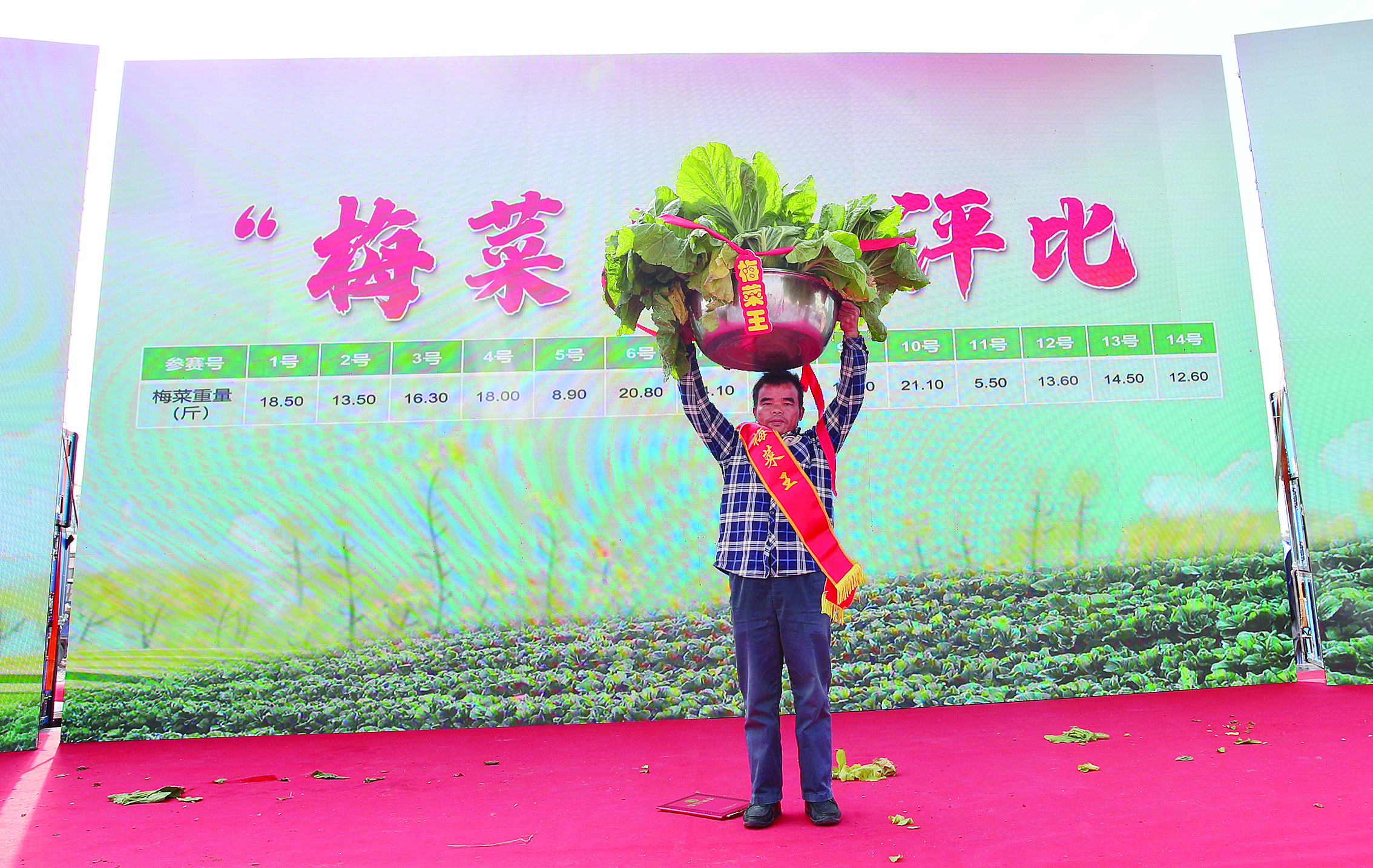     卢丽松摘得“梅菜王”称号。