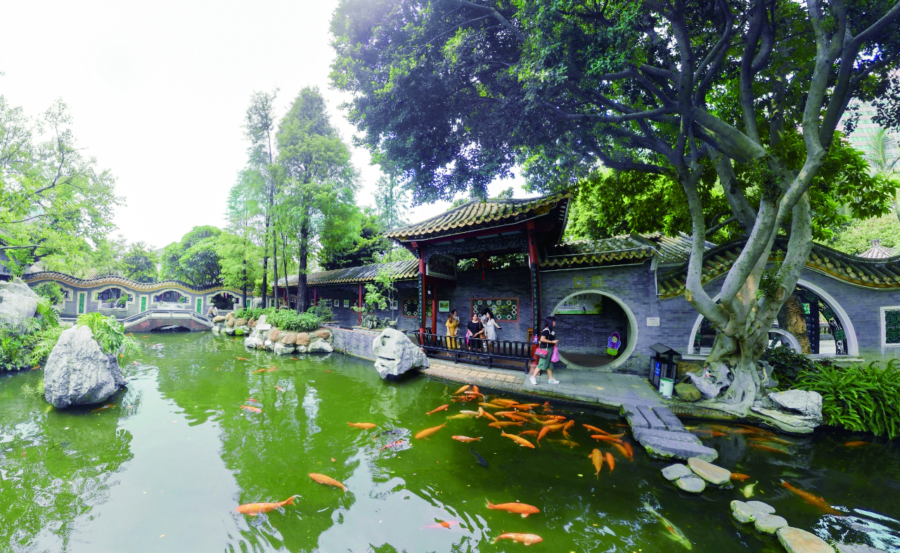     探访清晖园，感受广东名园的瑰丽。