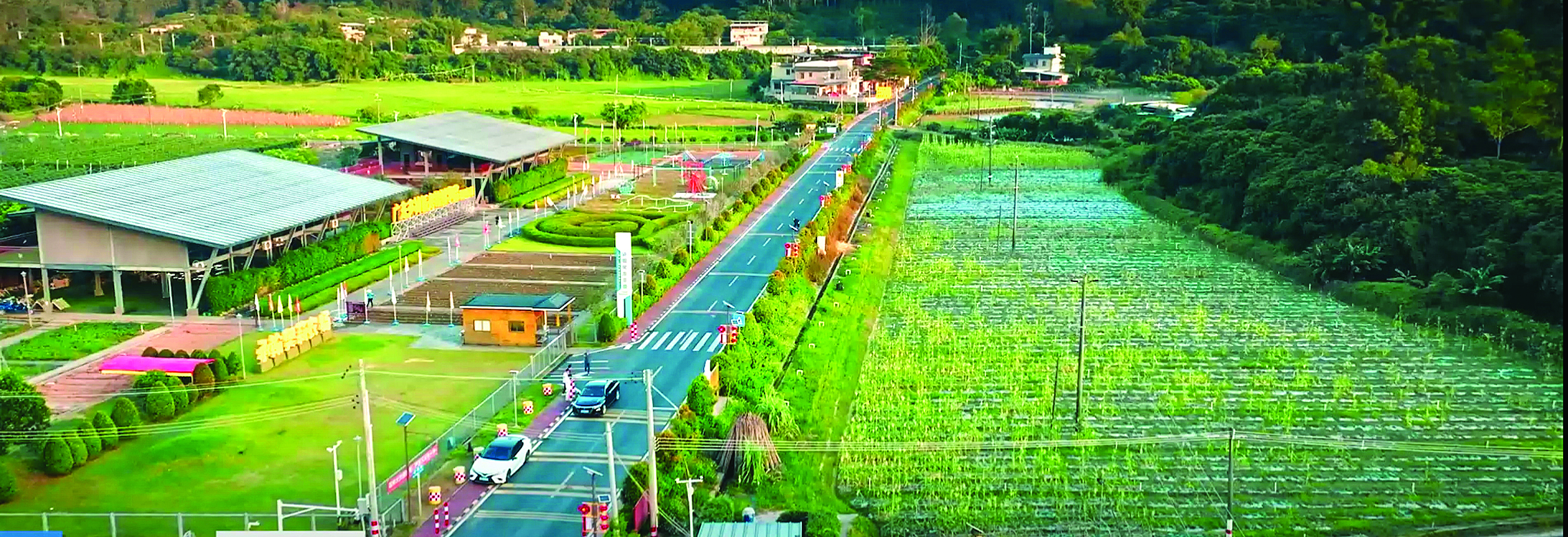     幸福村里的幸福路。