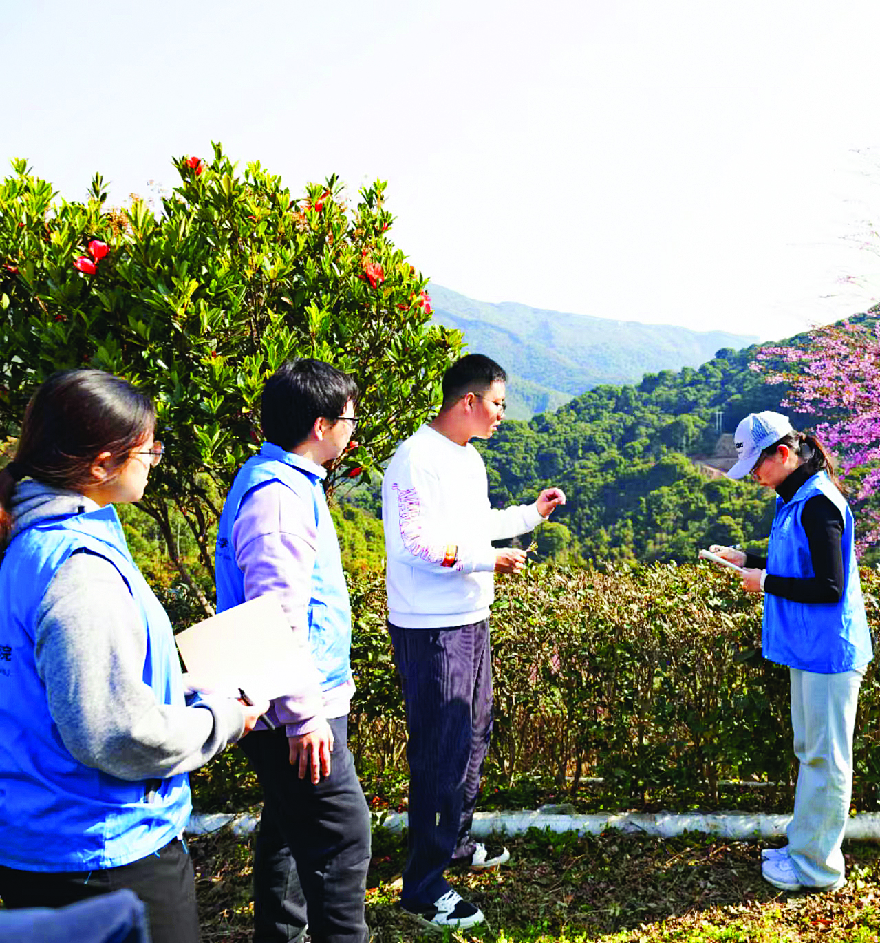     暨南大学实践团队在茶园调研。