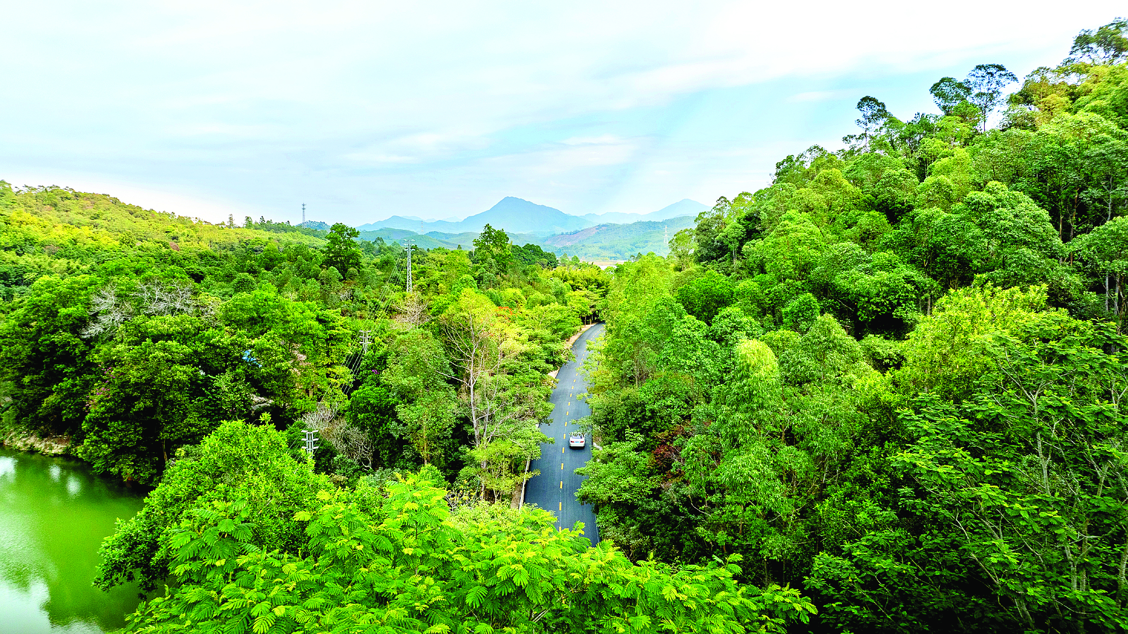     县道223线长宁澜石桥至横河罗塘桥段风景美如画。