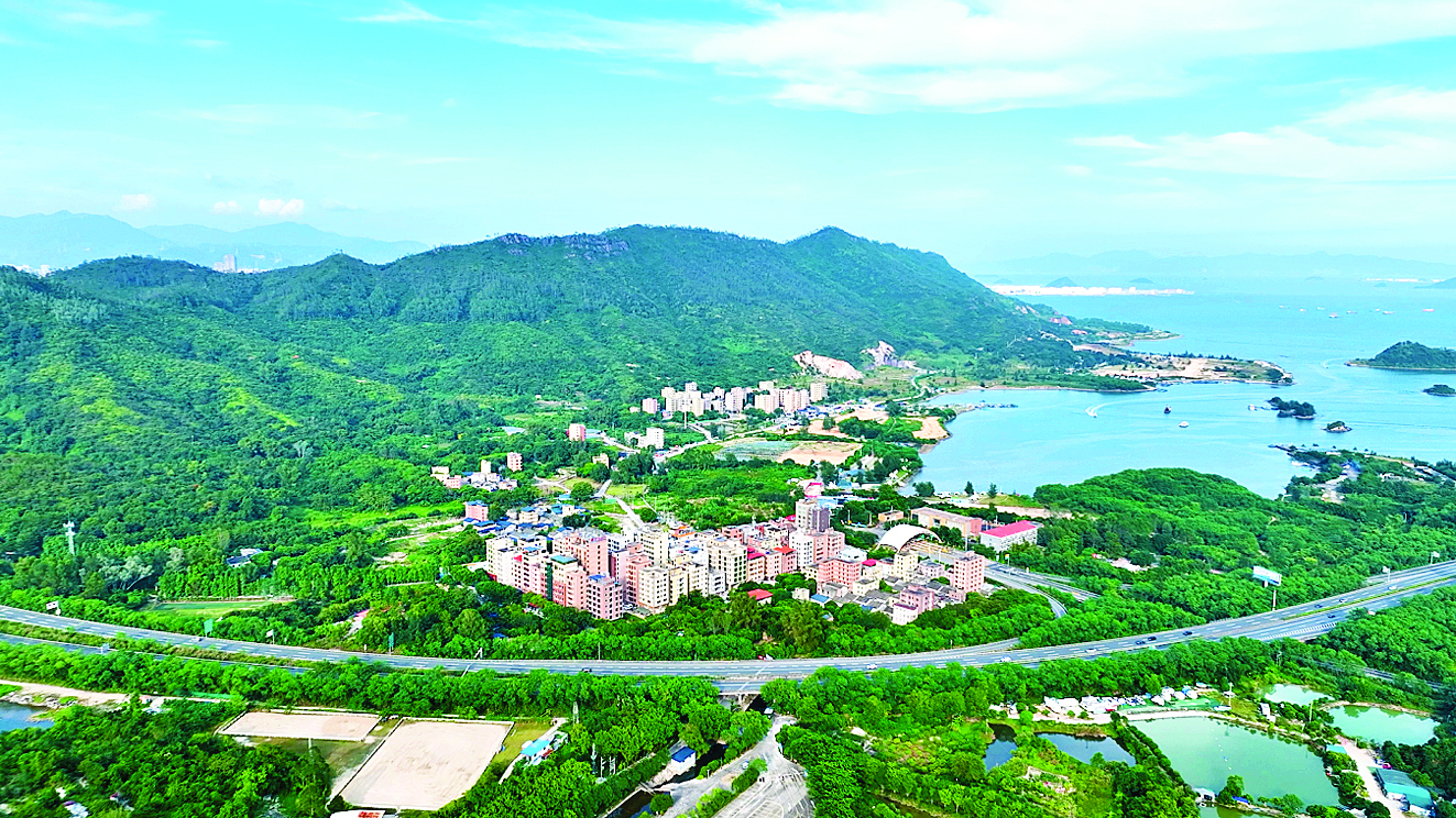     碧海畅行路依山傍海风光旖旎。惠州日报记者匡湘鄂 通讯员陈淑瑜 摄