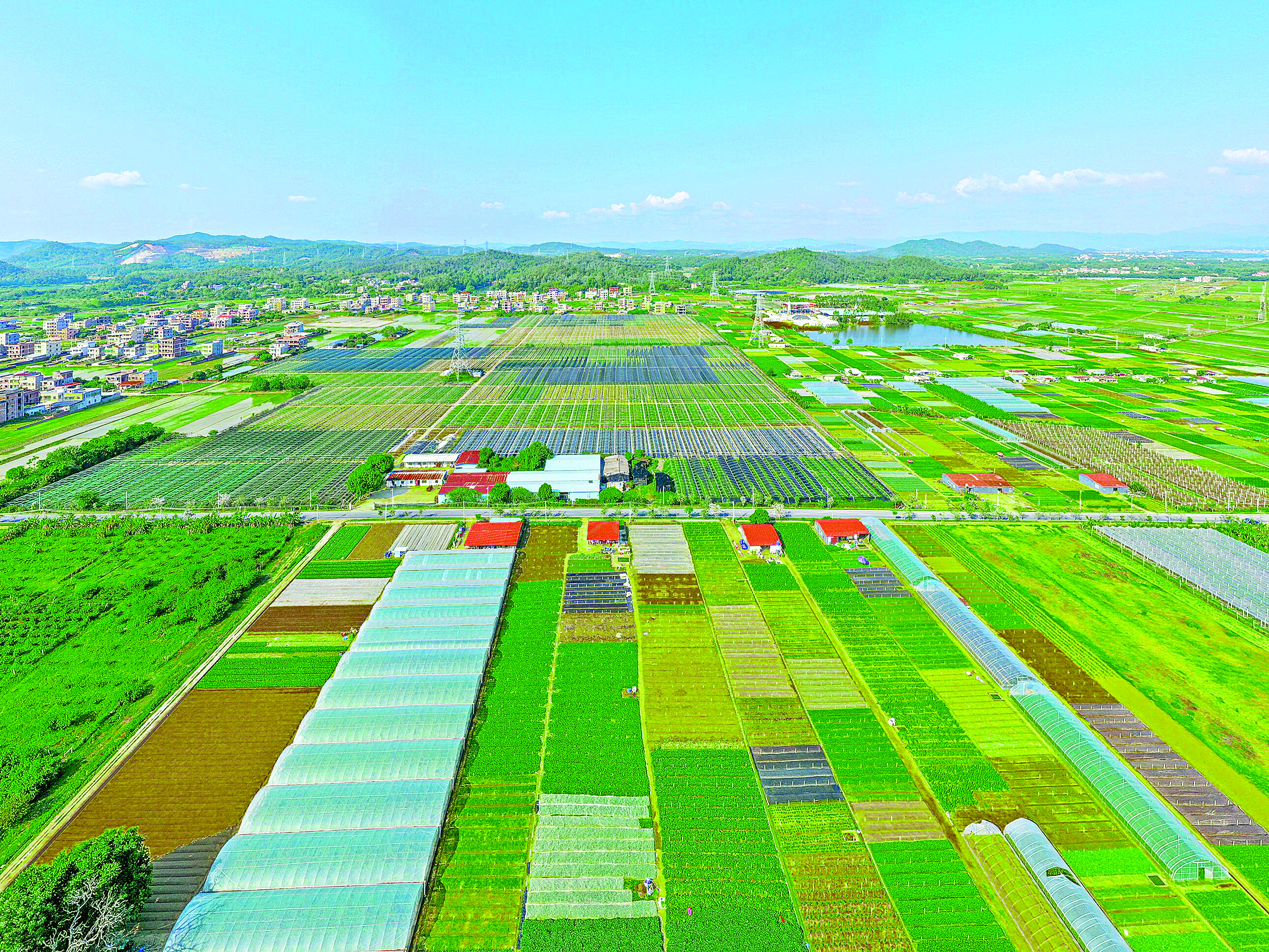     惠城区大力推进城乡区域协调发展，农业产业为乡村振兴赋能。这是航拍汝湖乡村。