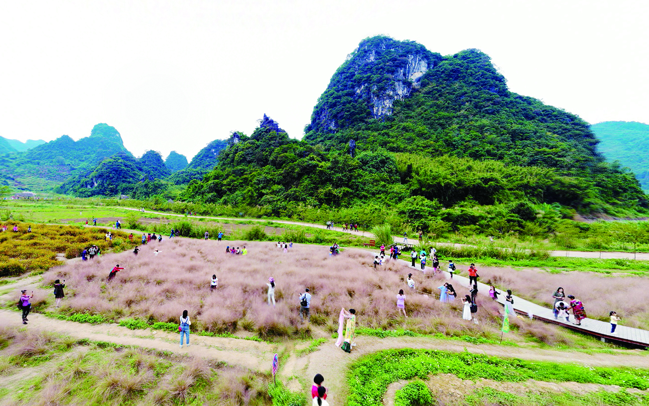     去英西花田，体验亲近自然的生态之旅。