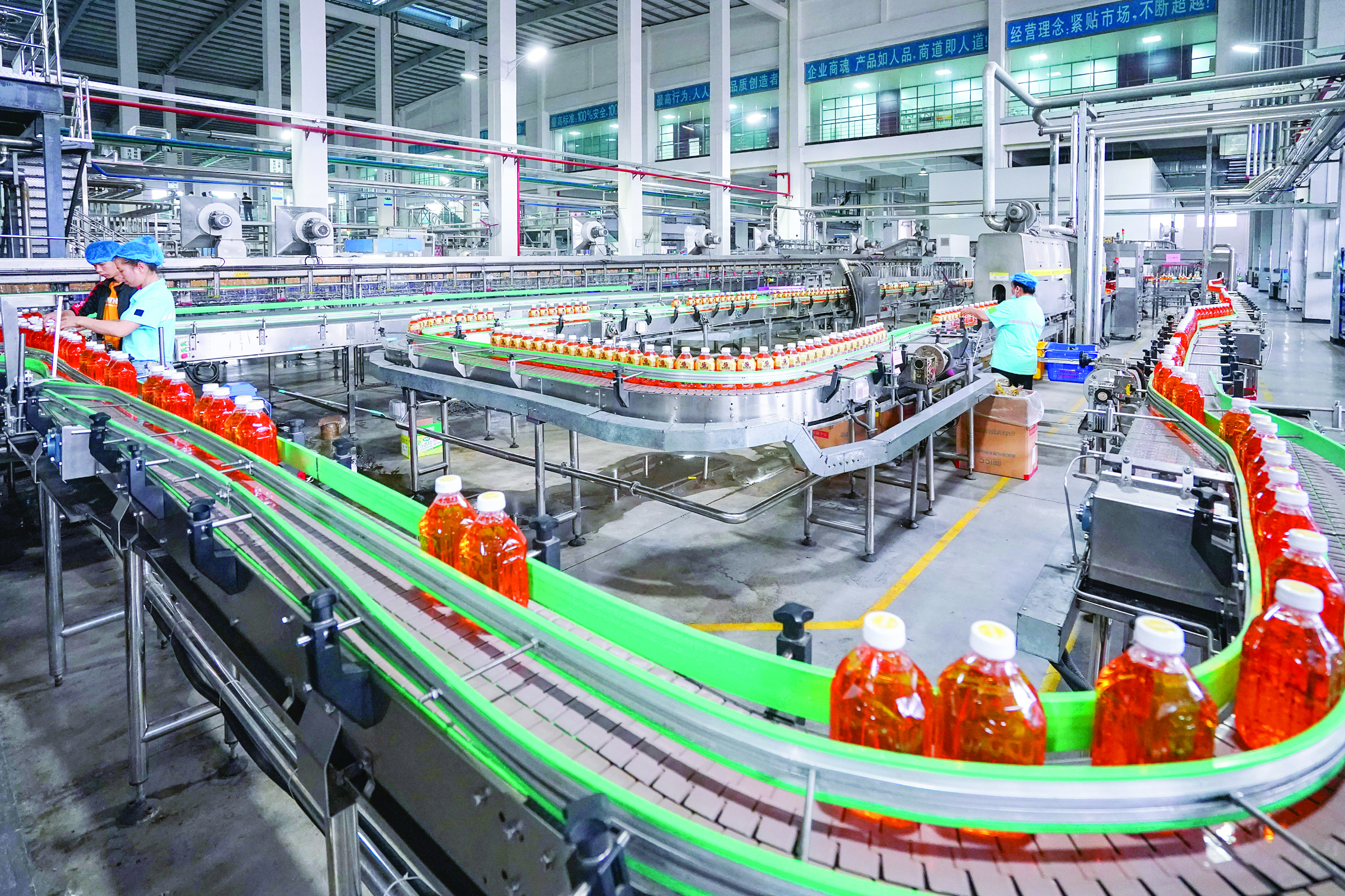     广东罗巴克实业有限公司生产线。