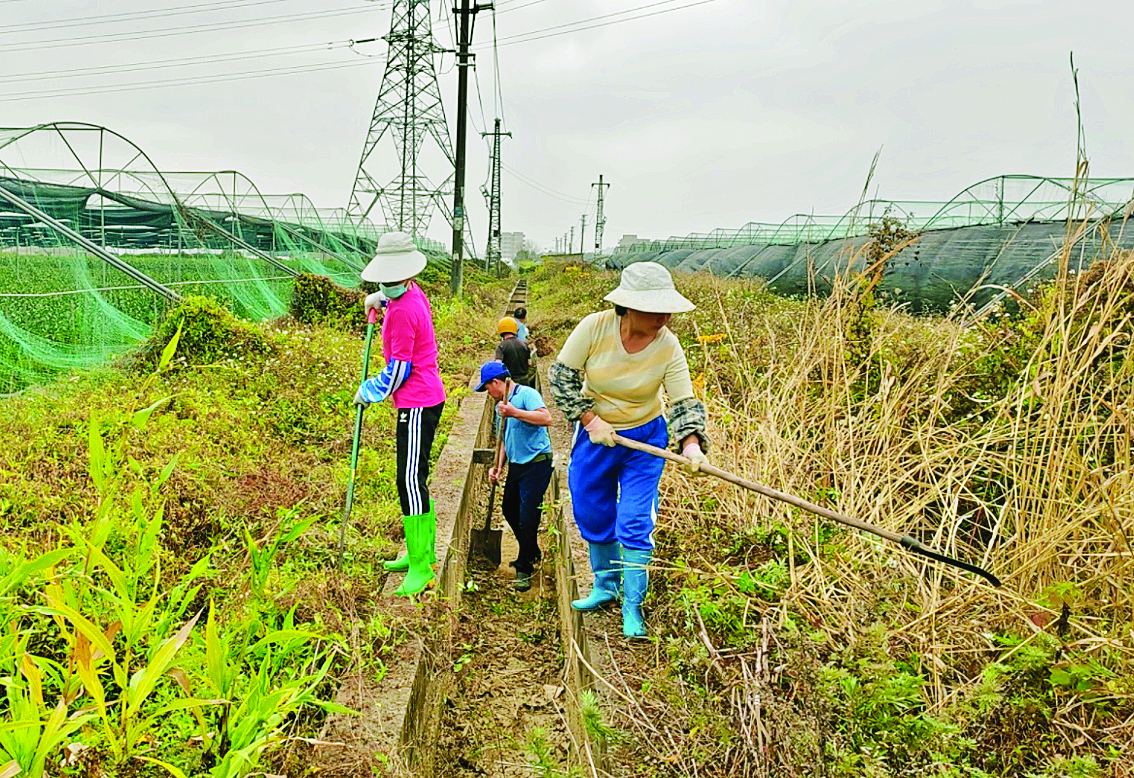     村民在清除沟渠杂草。
