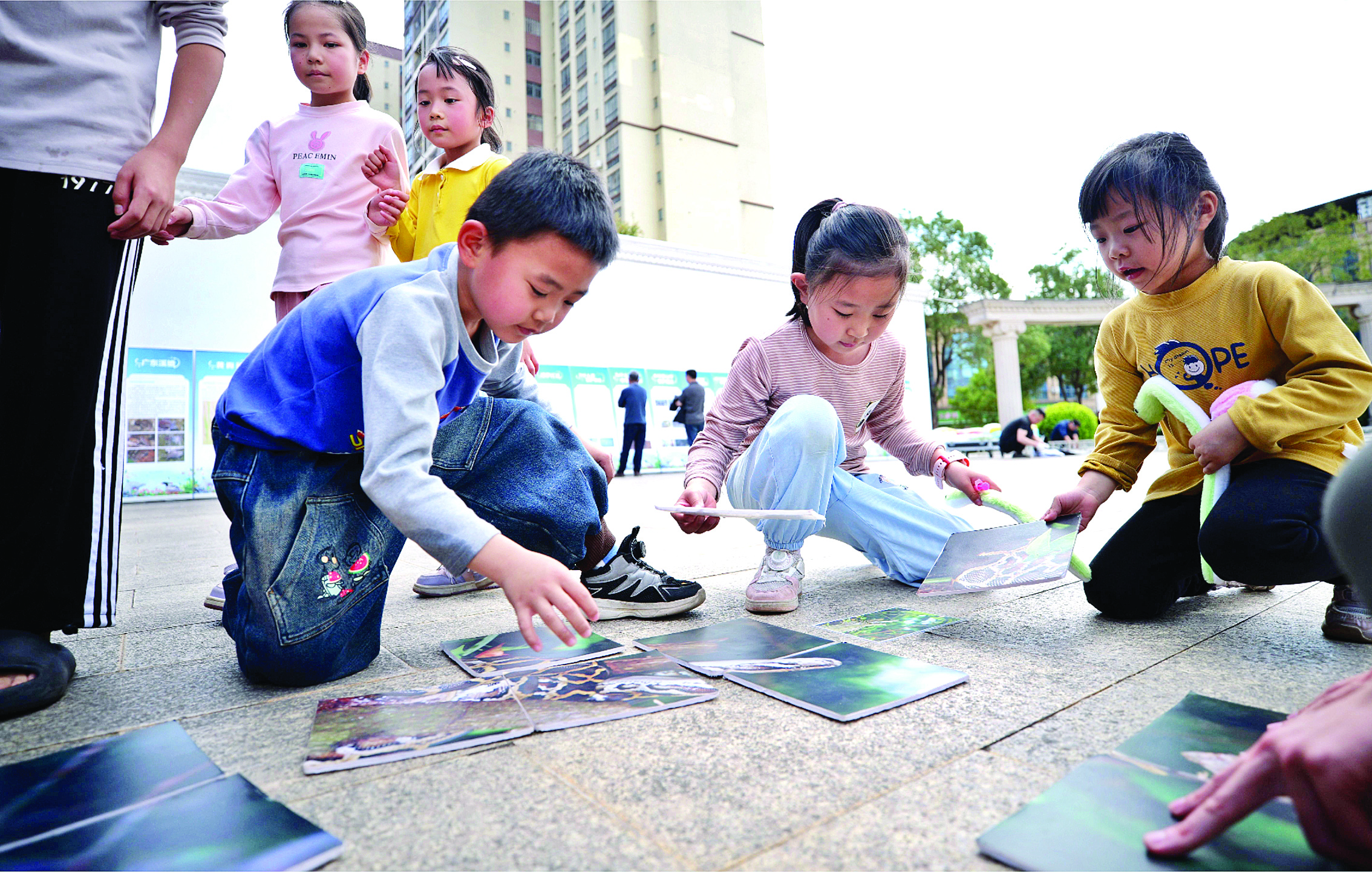     活动现场，小朋友们在玩野生动植物的趣味拼图。惠州日报记者黄鑫威 周晨 摄