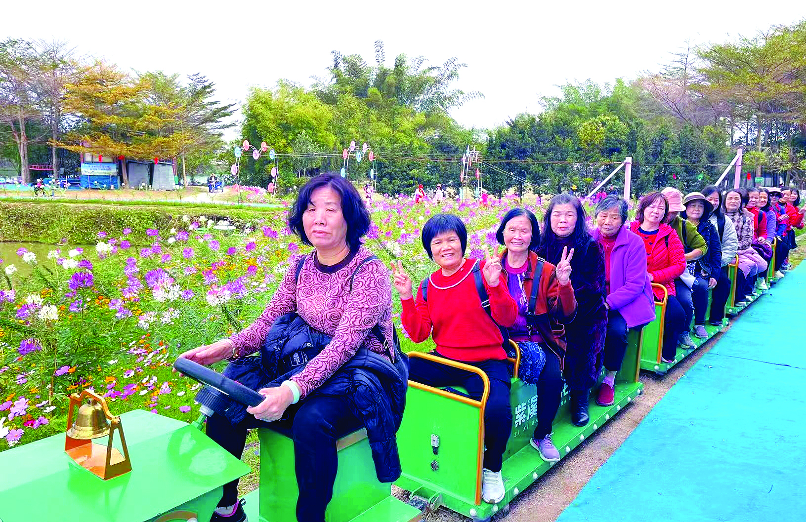     打卡惠城区三栋镇紫溪半岛花海世界。