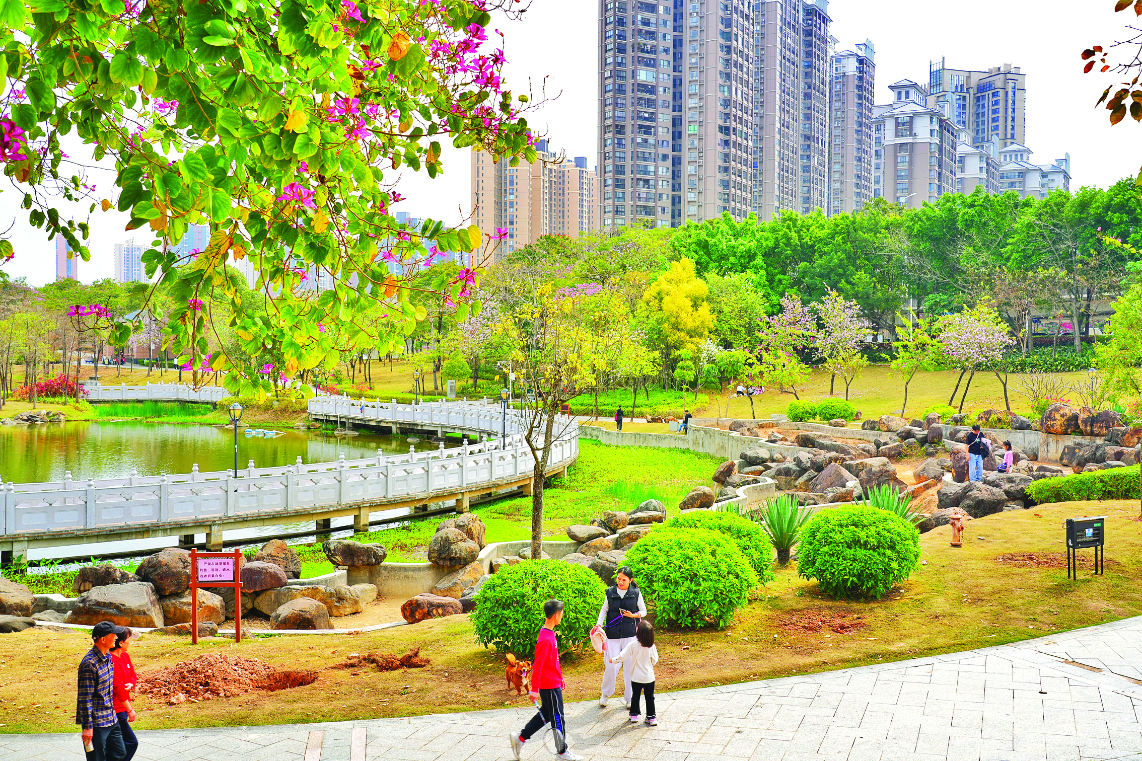     市民在市区鹿江公园踏青赏春。