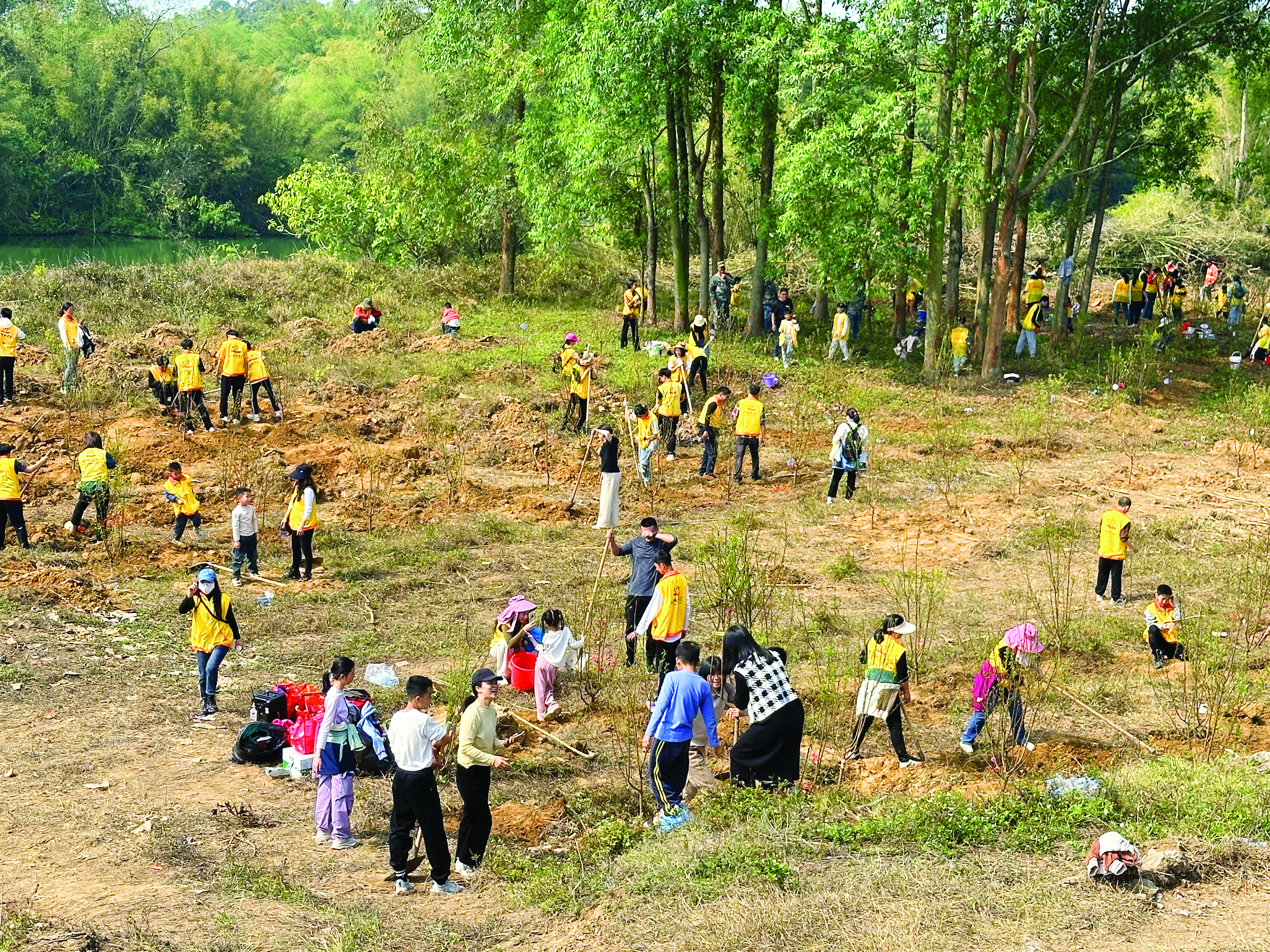     鹤湖大桥附近一块荒地上将种上2600棵桃树。 惠州日报记者李芳娟 通讯员刘燕婷 摄
