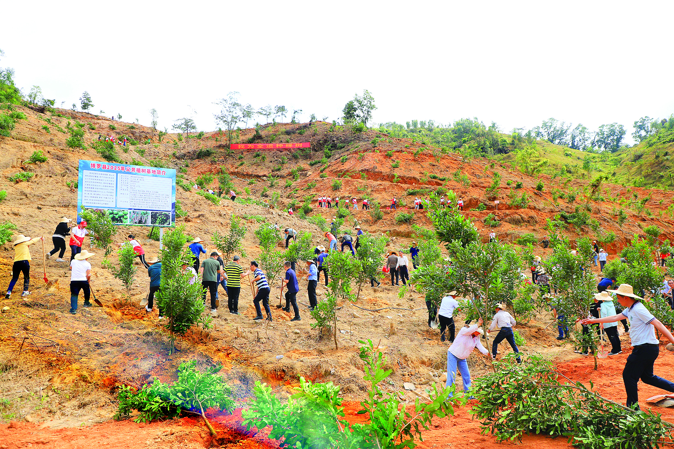     博罗县2025年三级林长暨全民义务植树活动在横河镇东角村举行。