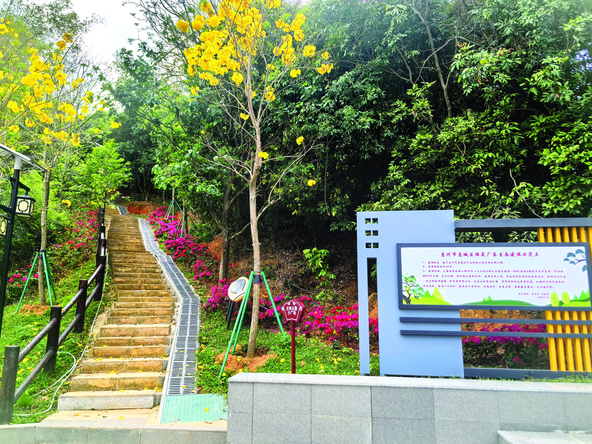     江南街道七联村津头湖村民小组打造古树公园。