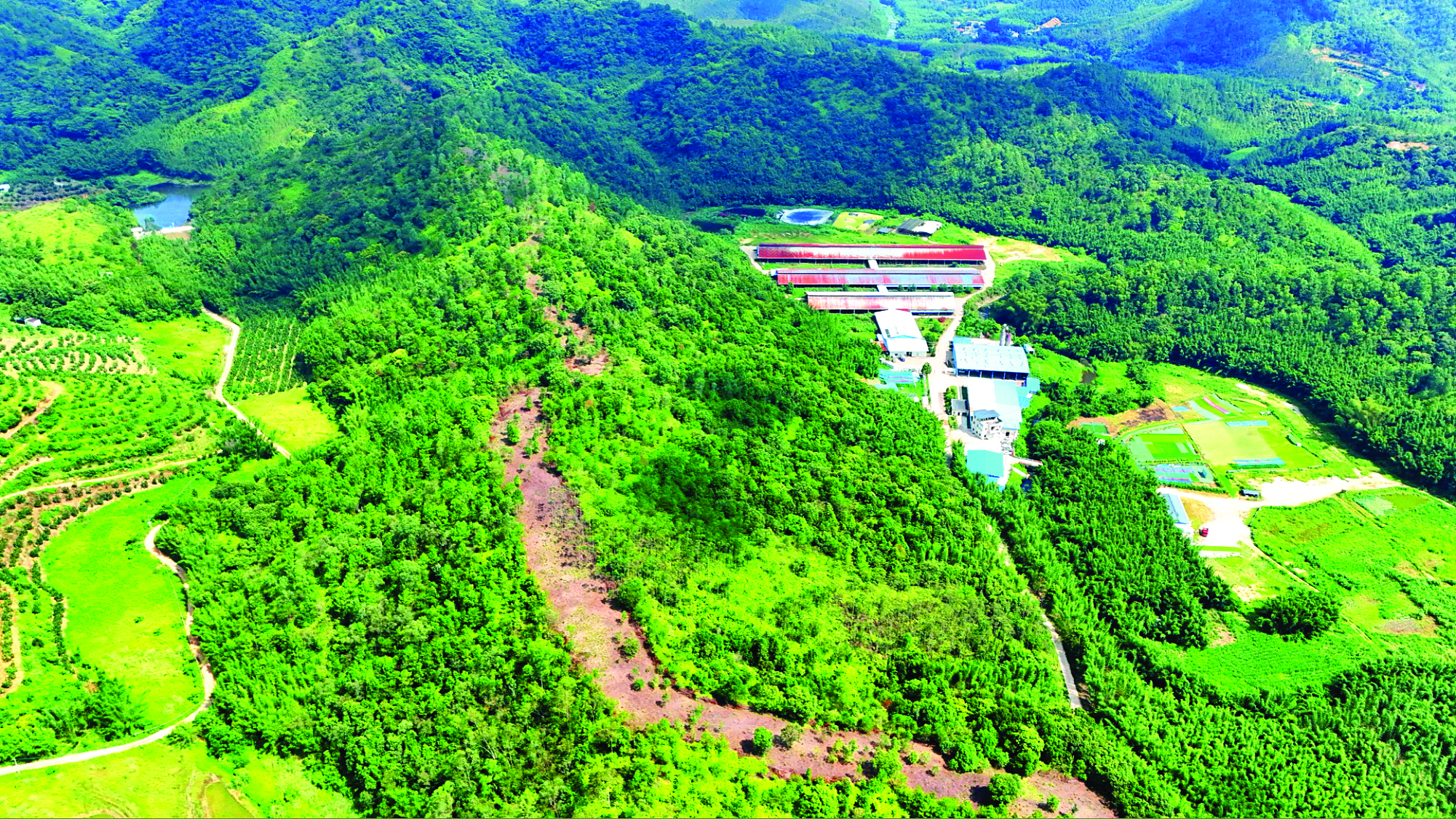     惠城已建成生物防火林带633.07公里。