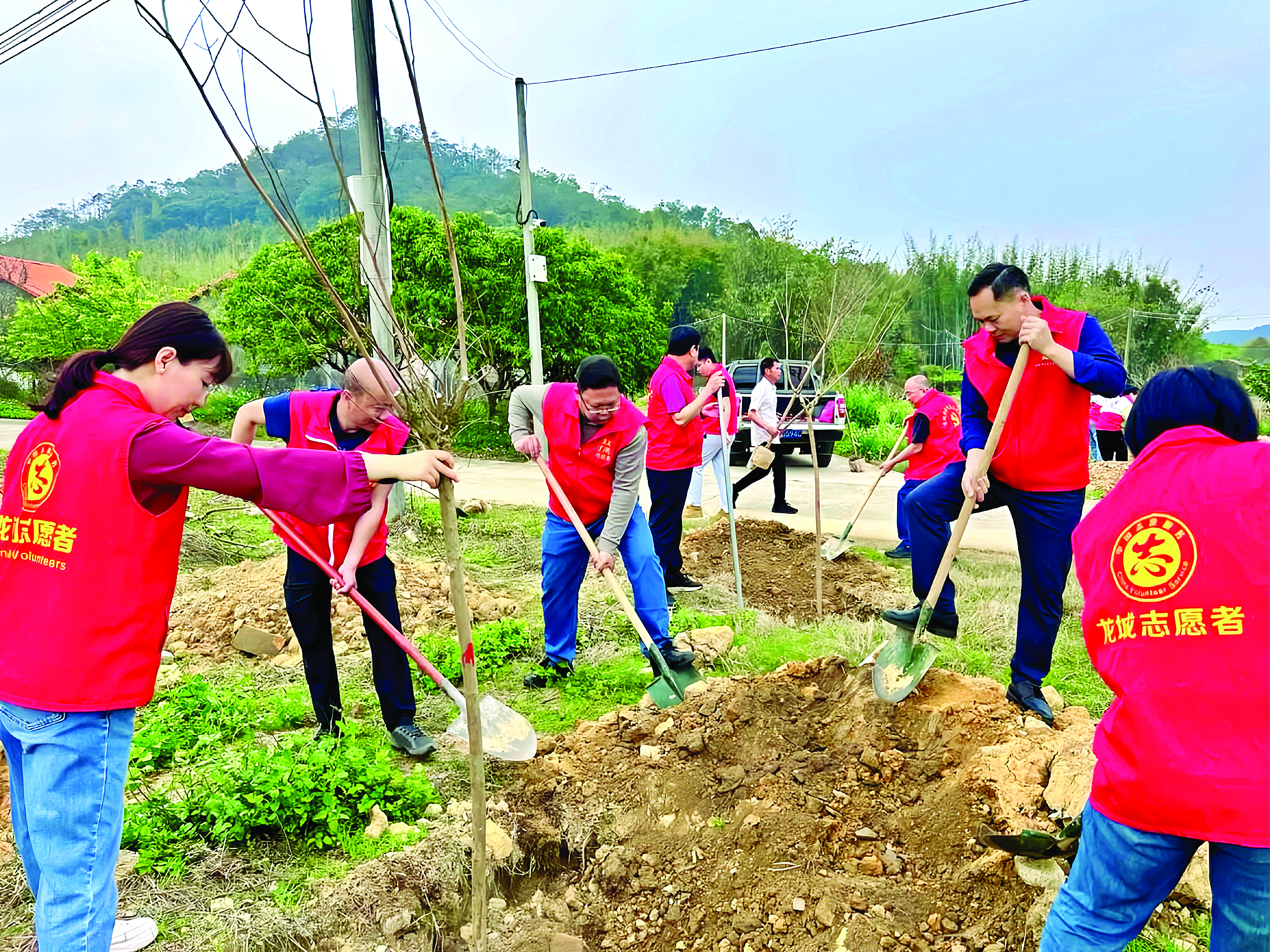     龙城街道戴屋村龙门大桥义务植树点现场。