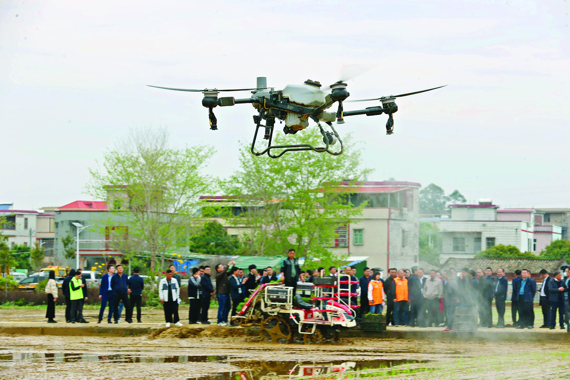     在博罗县麻陂镇洪湖村，无人机在空中灵活穿梭喷施药肥。 惠州日报记者杨建业 摄