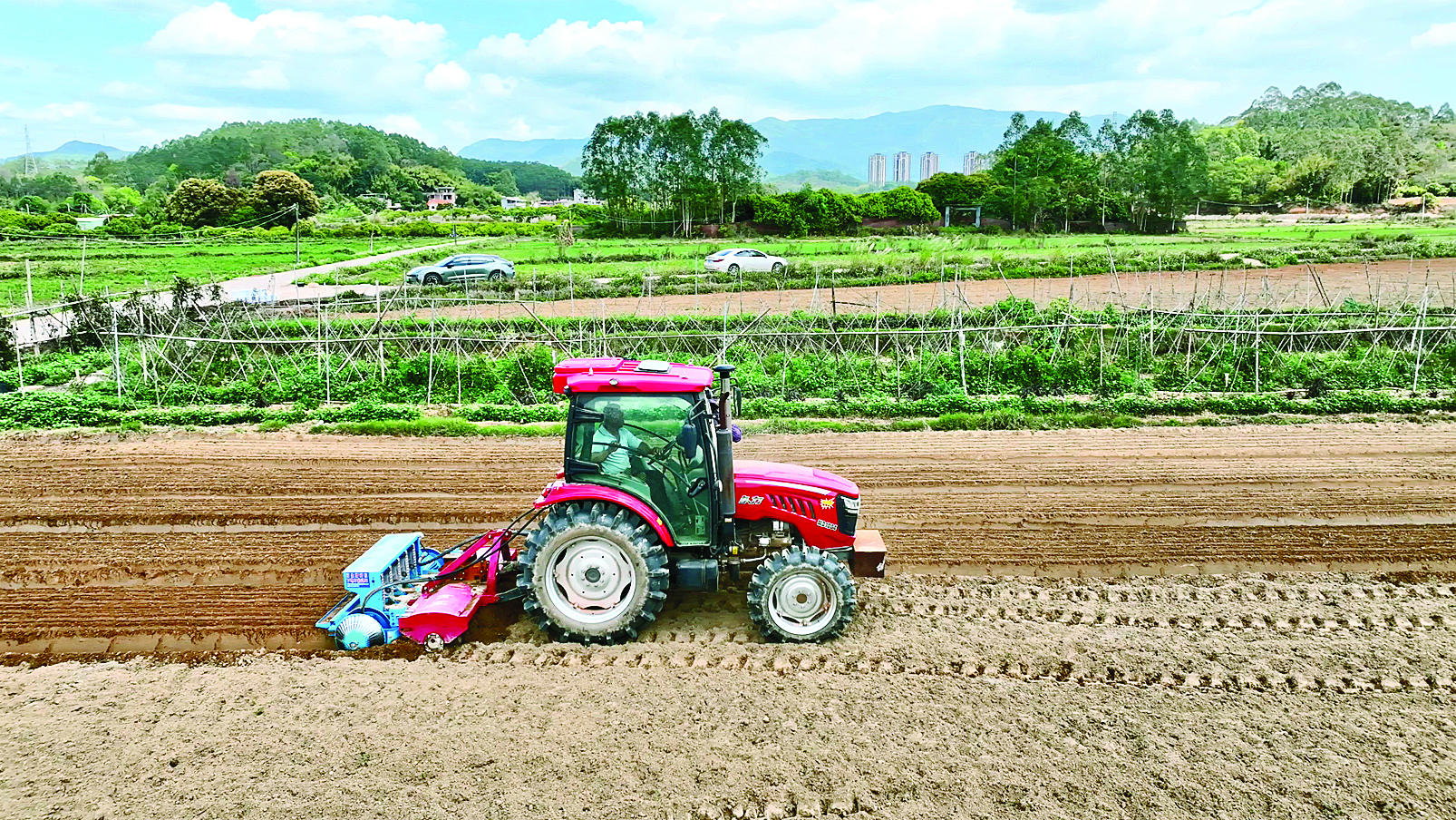     罗阳街道一片花生田，农户正运用机械化技术种植花生。