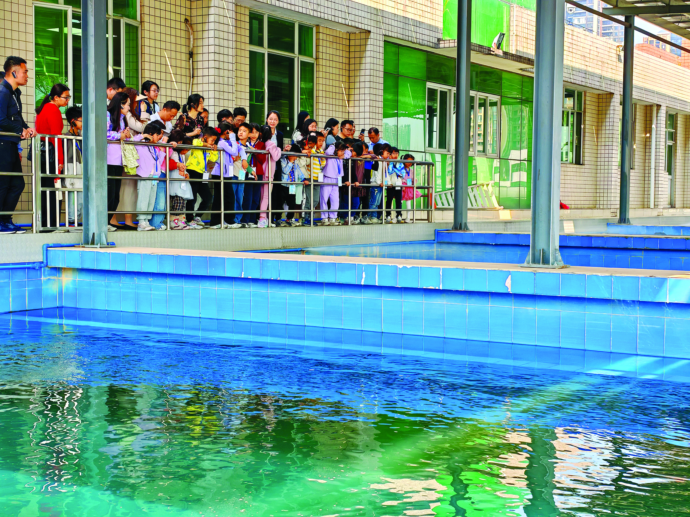     近距离观察“水的净化之旅”。