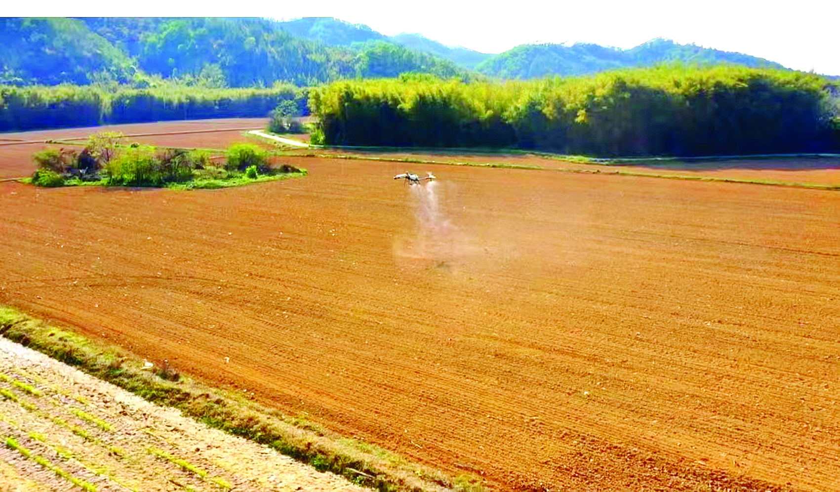     无人机在施肥。