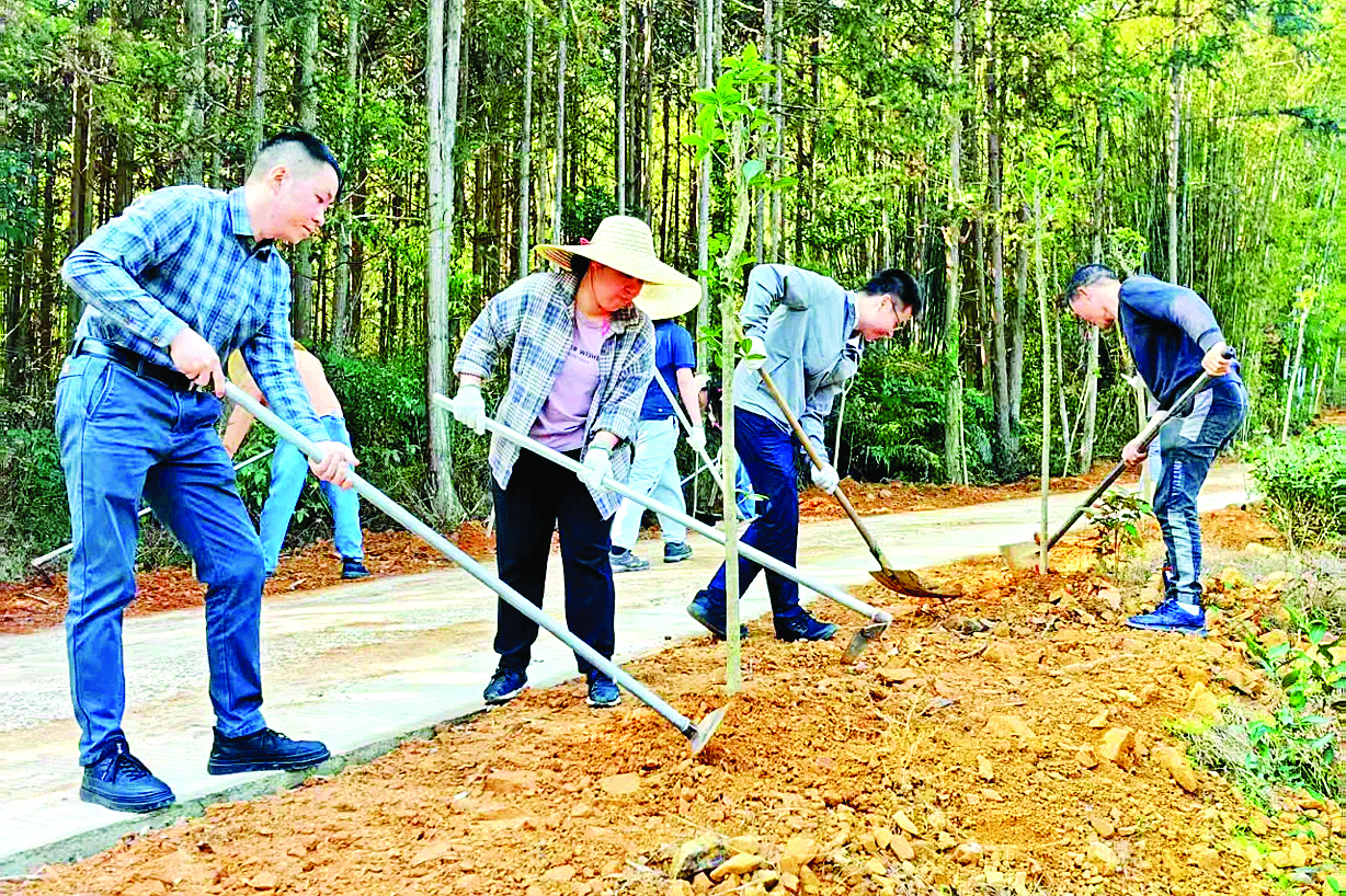    地派镇镇村干部职工、党员群众、志愿者开展义务植树活动。惠州日报记者黄宇翔 摄